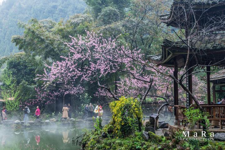 天寒人心暖,志愿者为穆家小学孩子送去暖心礼物