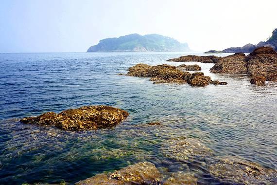 高压锅压八宝粥需要多少时间？游戏画面