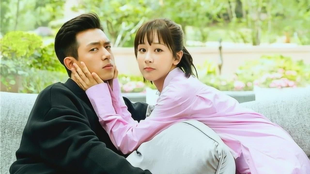 救援袋鼬