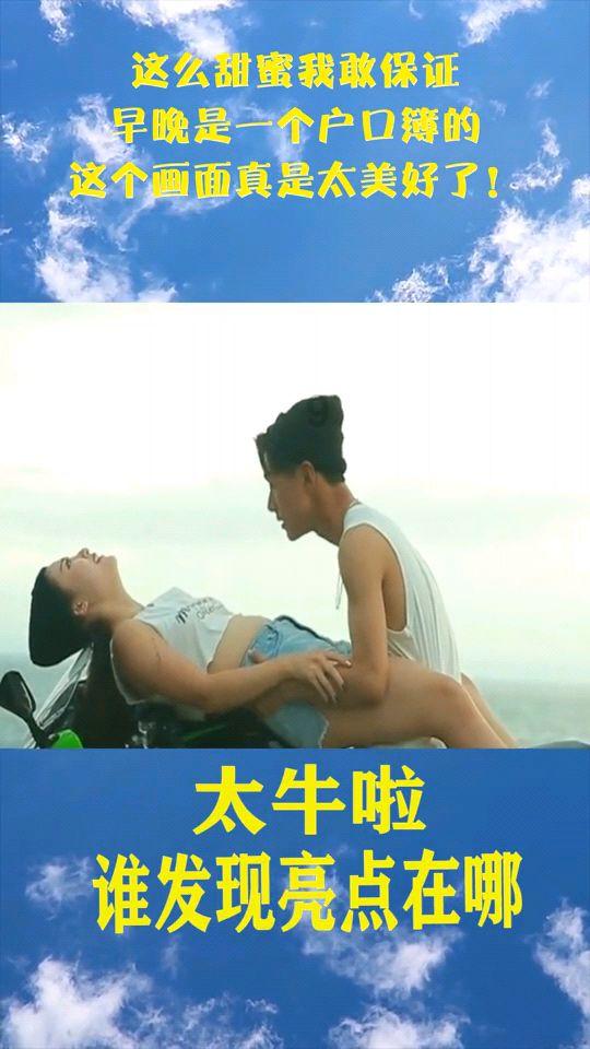 森林的奇迹