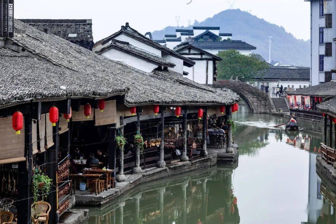 黄海湿地万物生,探路书写生态文明答卷的“盐城范例”